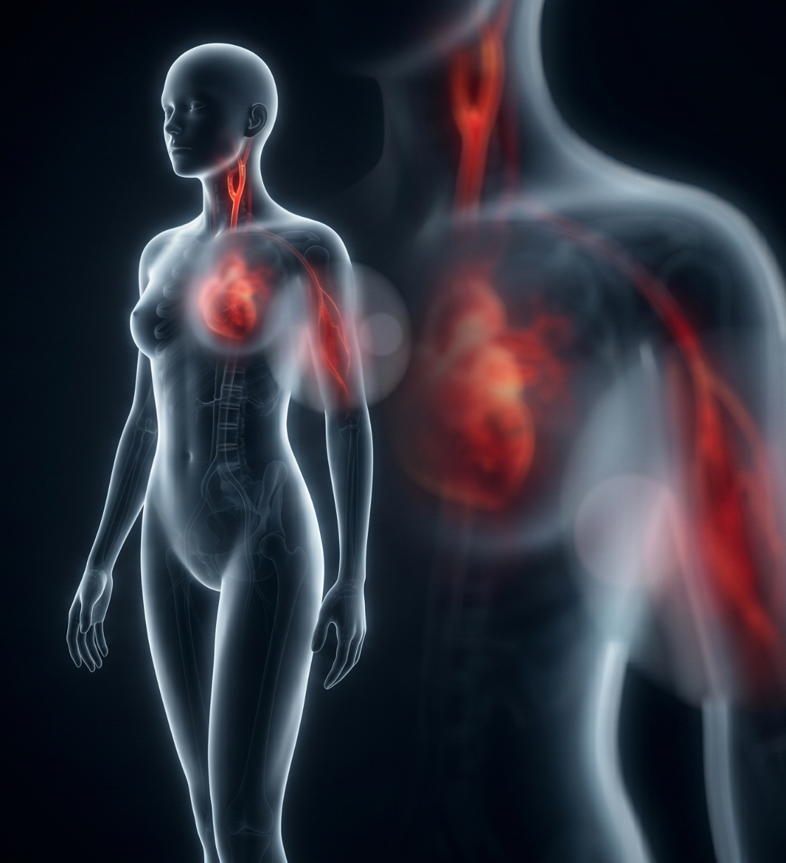 X-ray style human figure with glowing heart and arteries